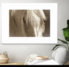 Angel Eyes by Barry Hart on GIANT ART - beige animals