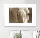 Angel Eyes by Barry Hart on GIANT ART - beige animals