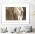 Angel Eyes by Barry Hart on GIANT ART - beige animals