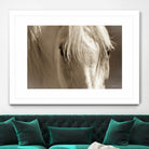 Angel Eyes by Barry Hart on GIANT ART - beige animals