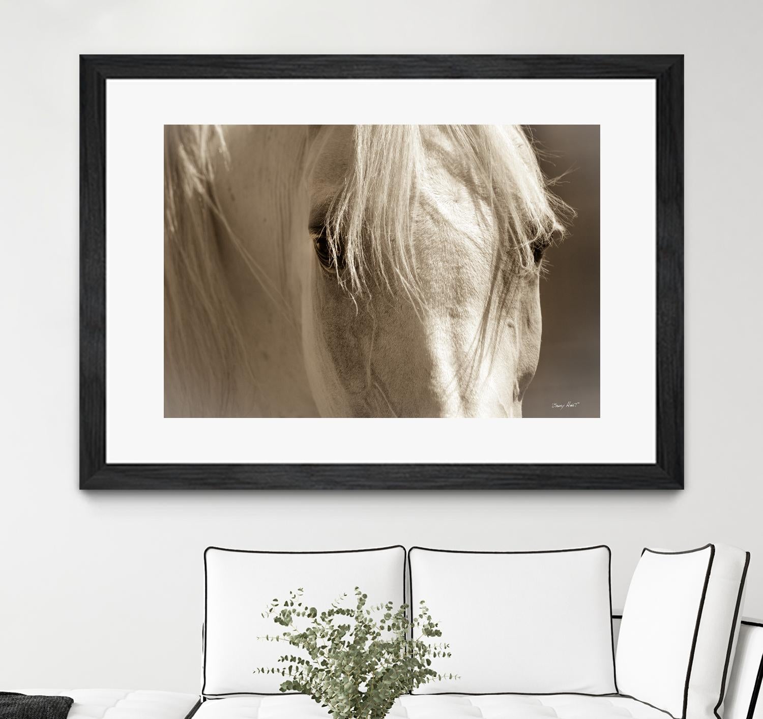 Angel Eyes by Barry Hart on GIANT ART - beige animals