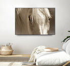 Angel Eyes by Barry Hart on GIANT ART - beige animals