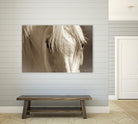 Angel Eyes by Barry Hart on GIANT ART - beige animals