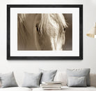 Angel Eyes by Barry Hart on GIANT ART - beige animals