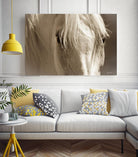 Angel Eyes by Barry Hart on GIANT ART - beige animals