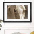 Angel Eyes by Barry Hart on GIANT ART - beige animals