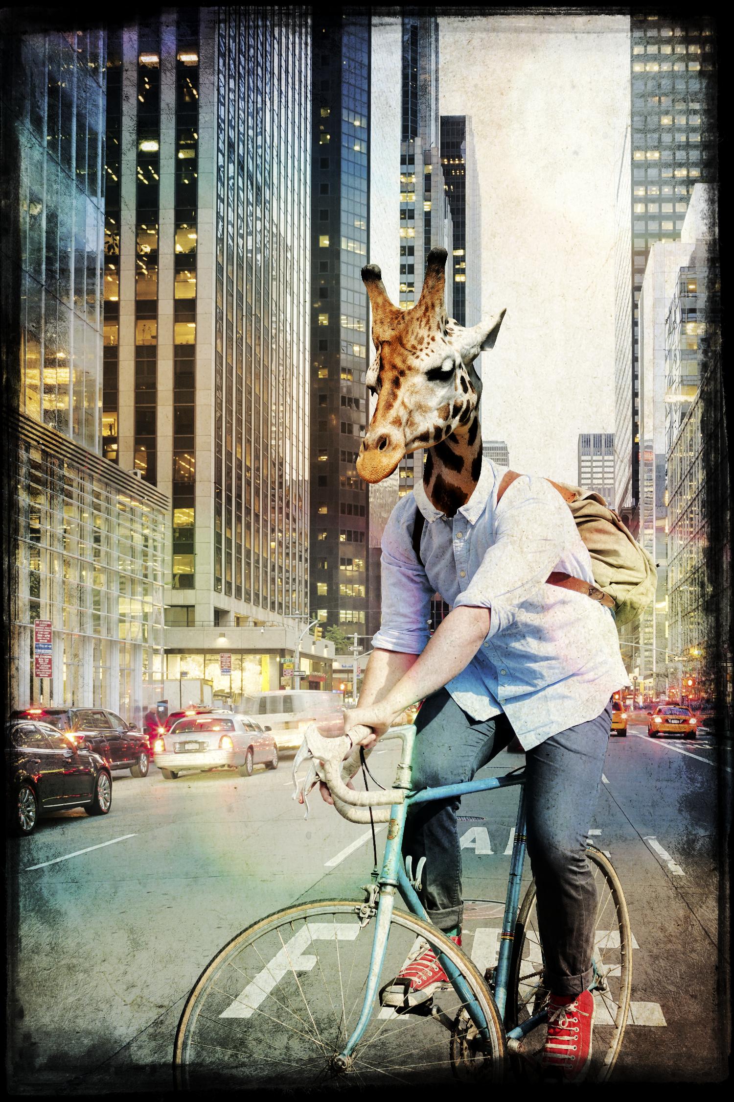 Girafe sur un vélo par GI ArtLab sur GIANT ART - noir contemporain