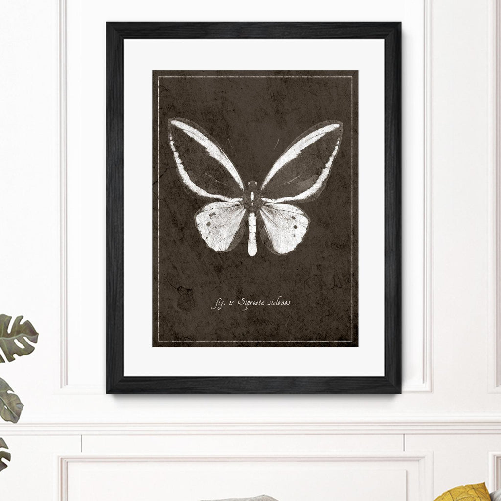 Butterfly I by GI ArtLab on GIANT ART - white botany
