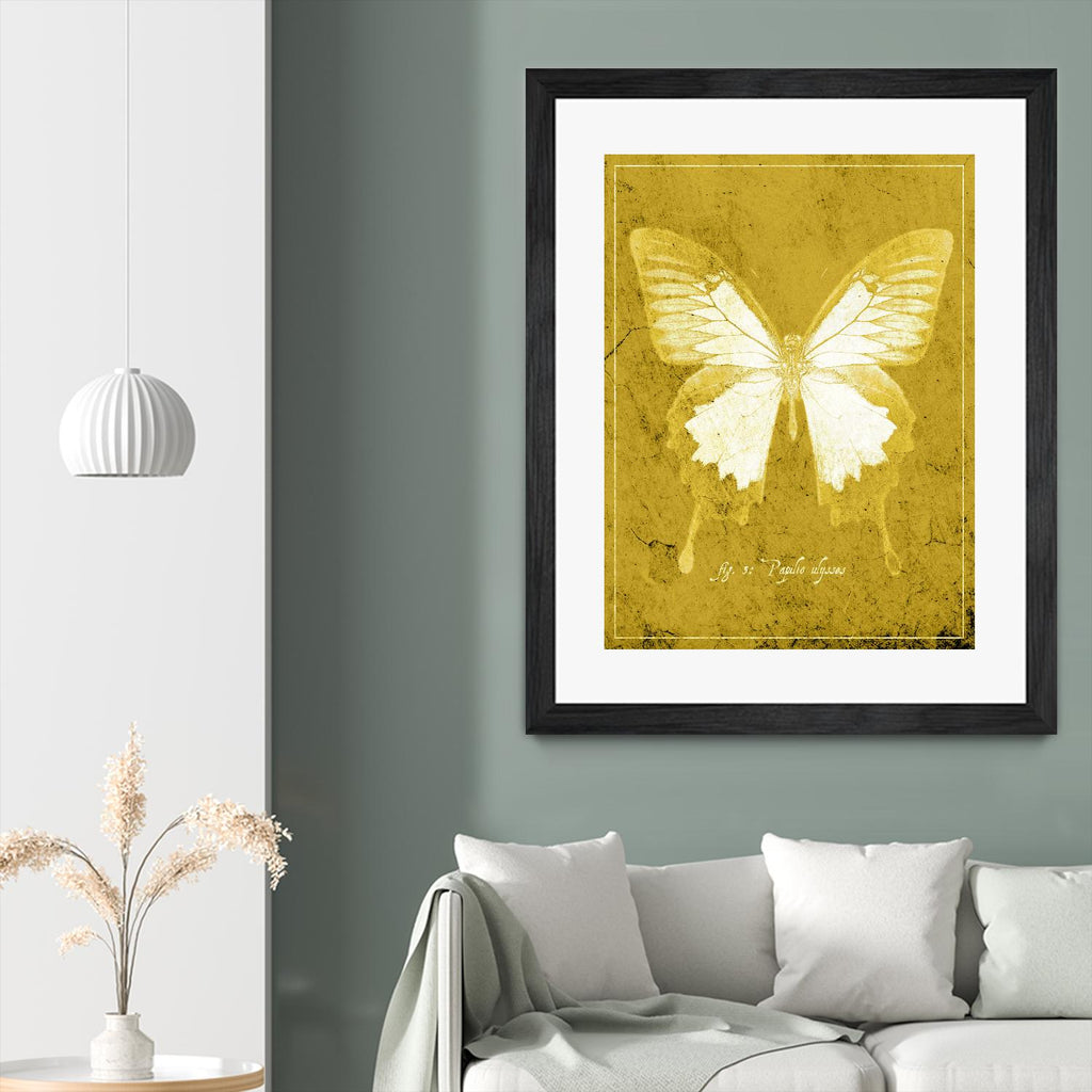Butterfly L by GI ArtLab on GIANT ART - pink animals