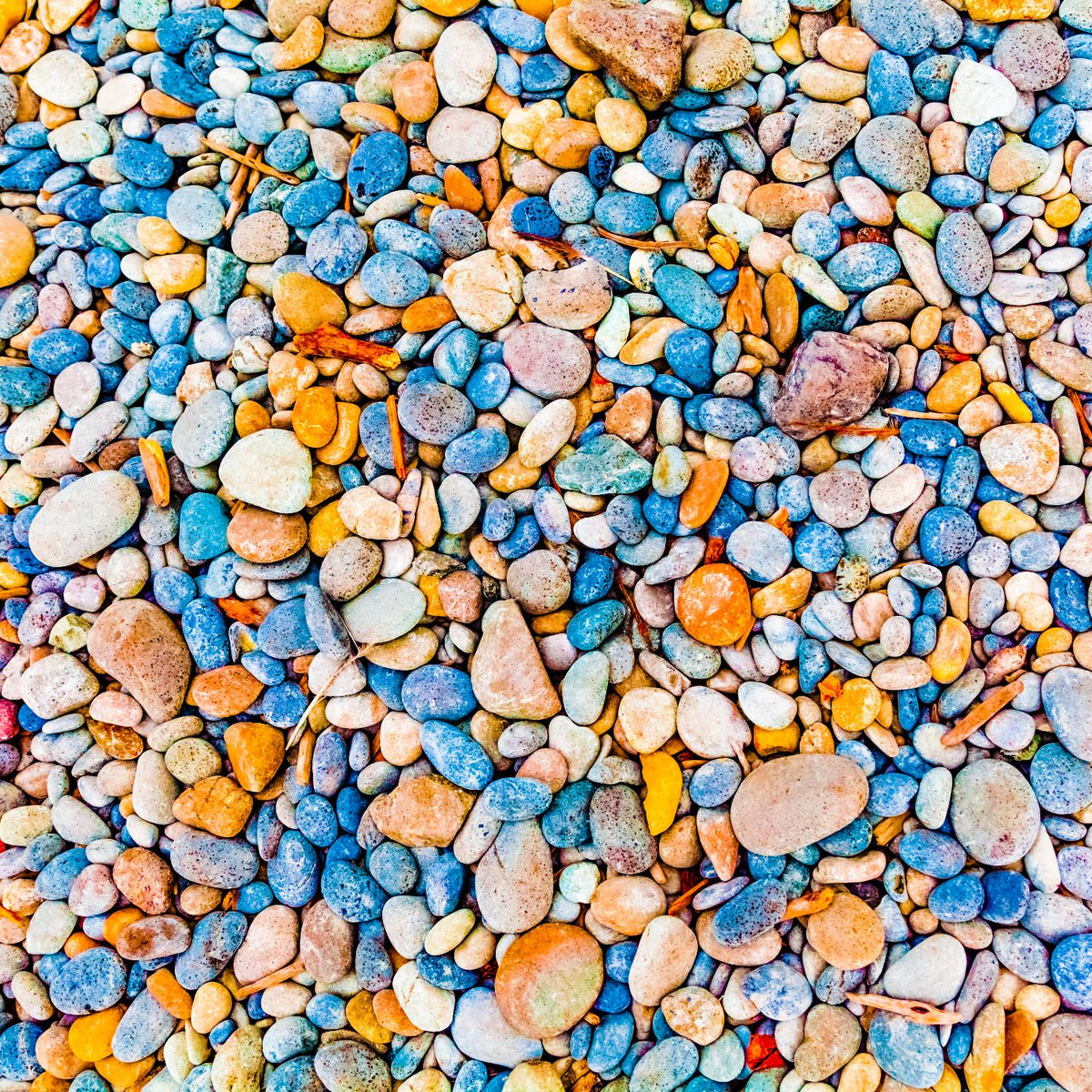 Colorful Beach Rocks - Art Print by Kyle Goldie | GIANT ART