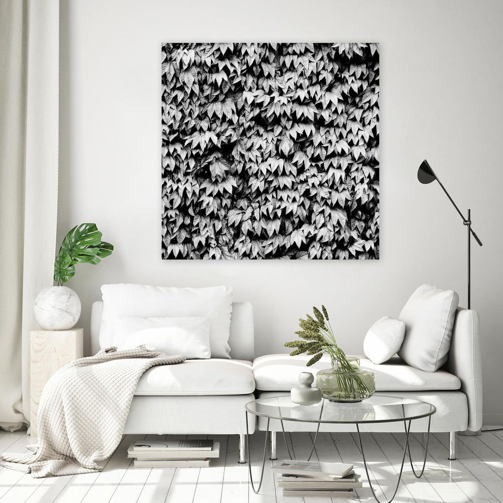 Wall of Leaves by Kyle Goldie on GIANT ART - white photo art