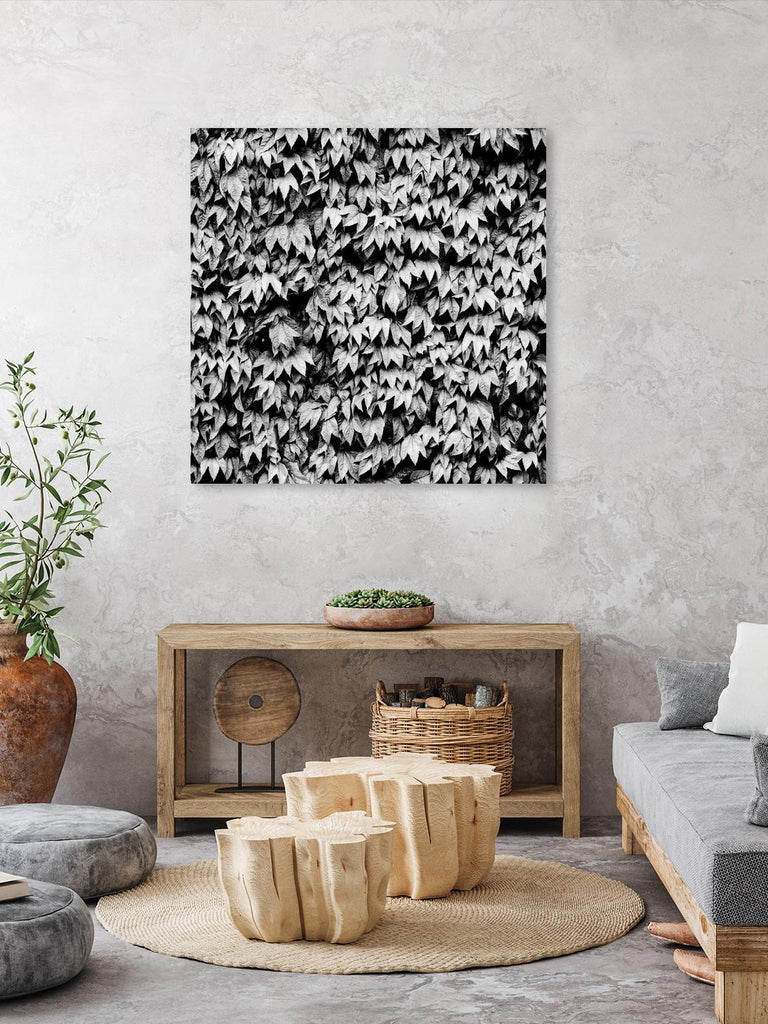 Wall of Leaves by Kyle Goldie on GIANT ART - white photo art