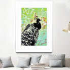 Peacock by Urban Soule on GIANT ART - green animals oiseau