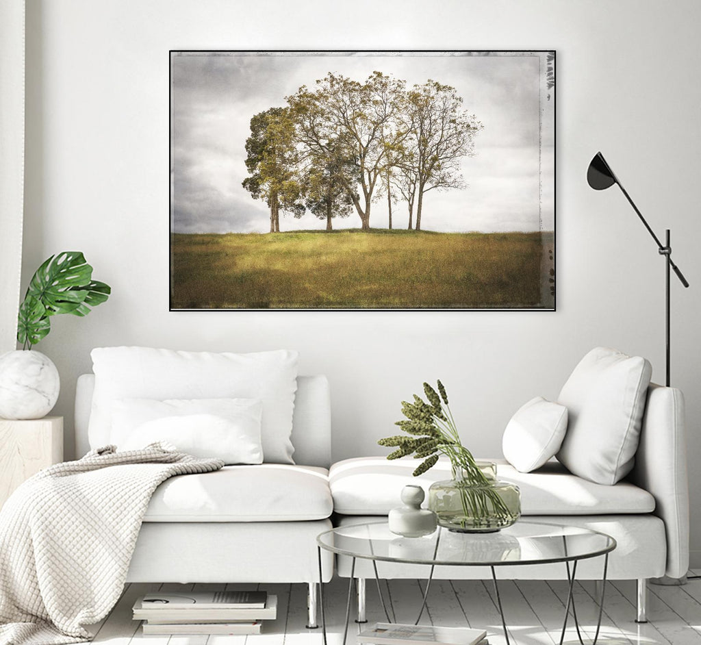 Three Trees by Lillis Werder on GIANT ART - gold landscape