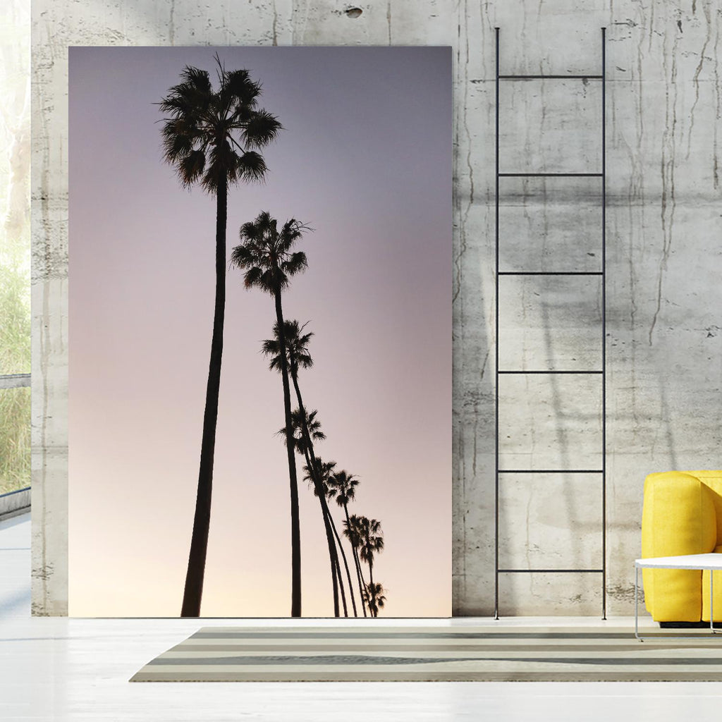 Palm Tree Silhouettes by Lillis Werder on GIANT ART - purple tropical