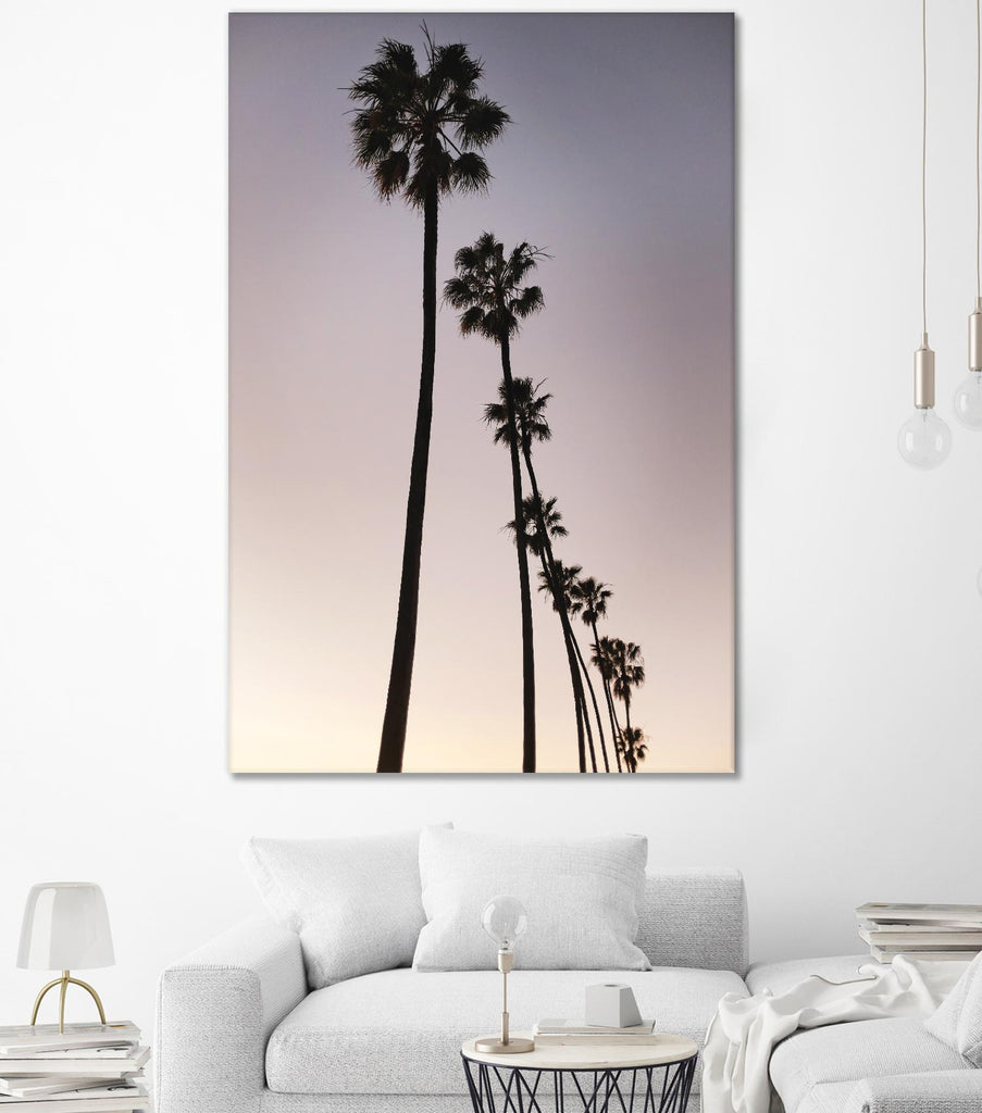 Palm Tree Silhouettes by Lillis Werder on GIANT ART - purple tropical