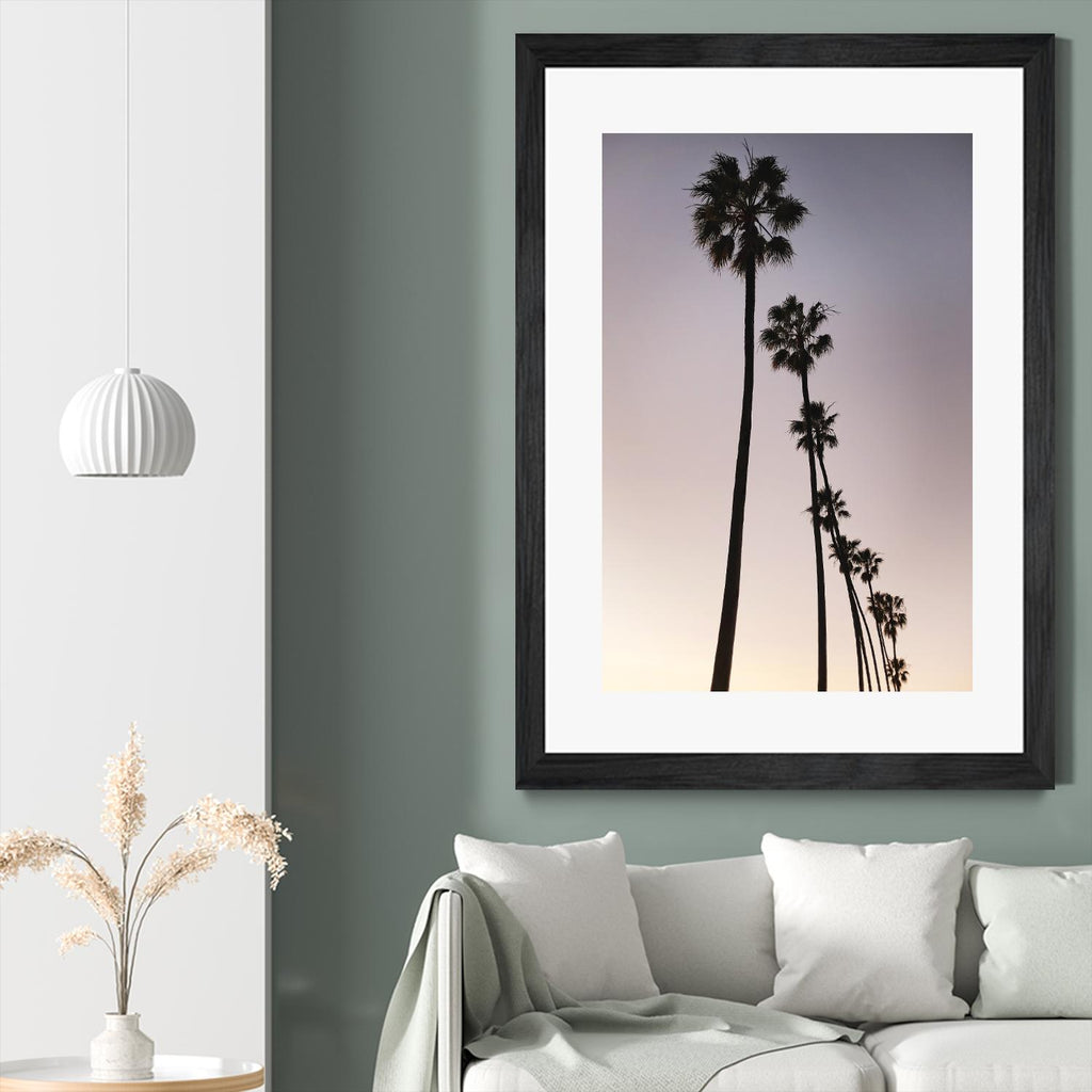 Palm Tree Silhouettes by Lillis Werder on GIANT ART - black tropical