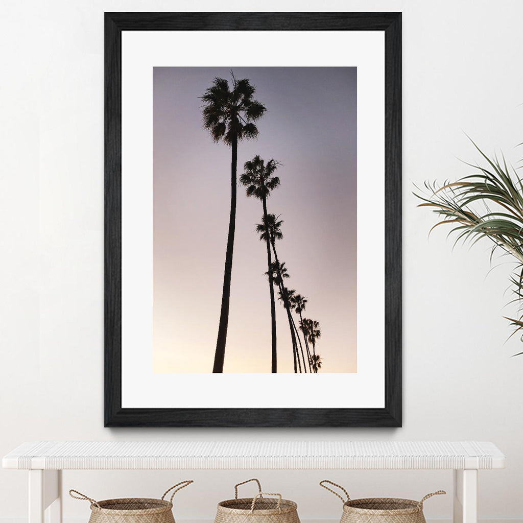 Palm Tree Silhouettes by Lillis Werder on GIANT ART - black tropical