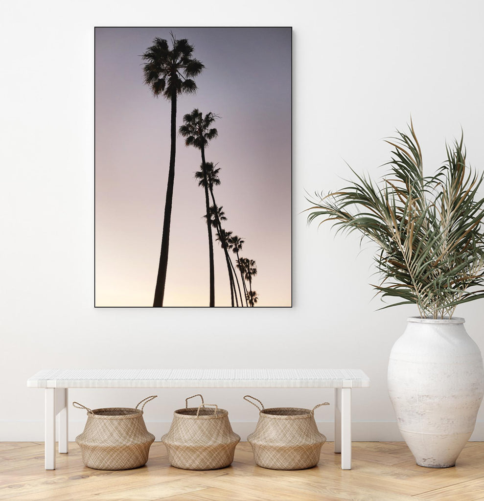 Silhouettes de palmiers par Lillis Werder sur GIANT ART - violet tropical