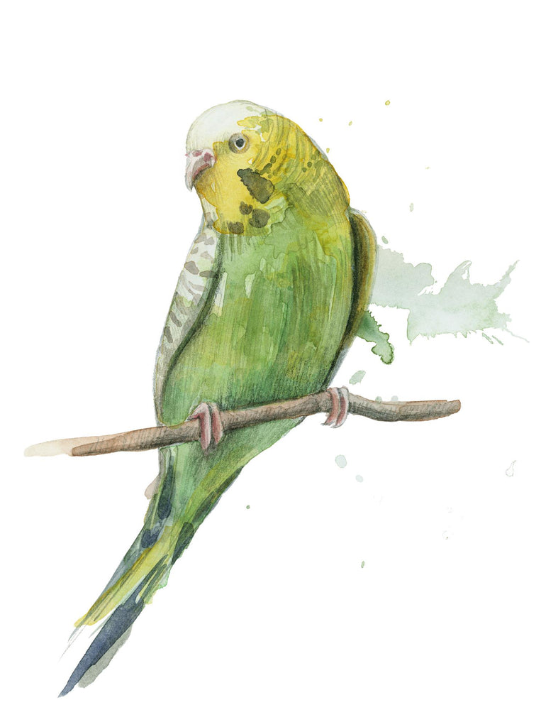 Oiseau 2 par Harvey, Brenna Harvey sur GIANT ART - oiseaux animaux bruns