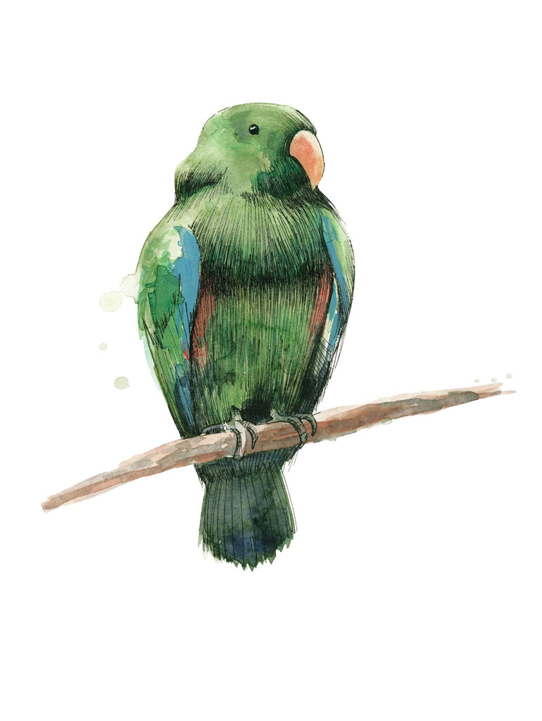 Oiseau 3 par Harvey, Brenna Harvey sur GIANT ART - animaux verts oiseau