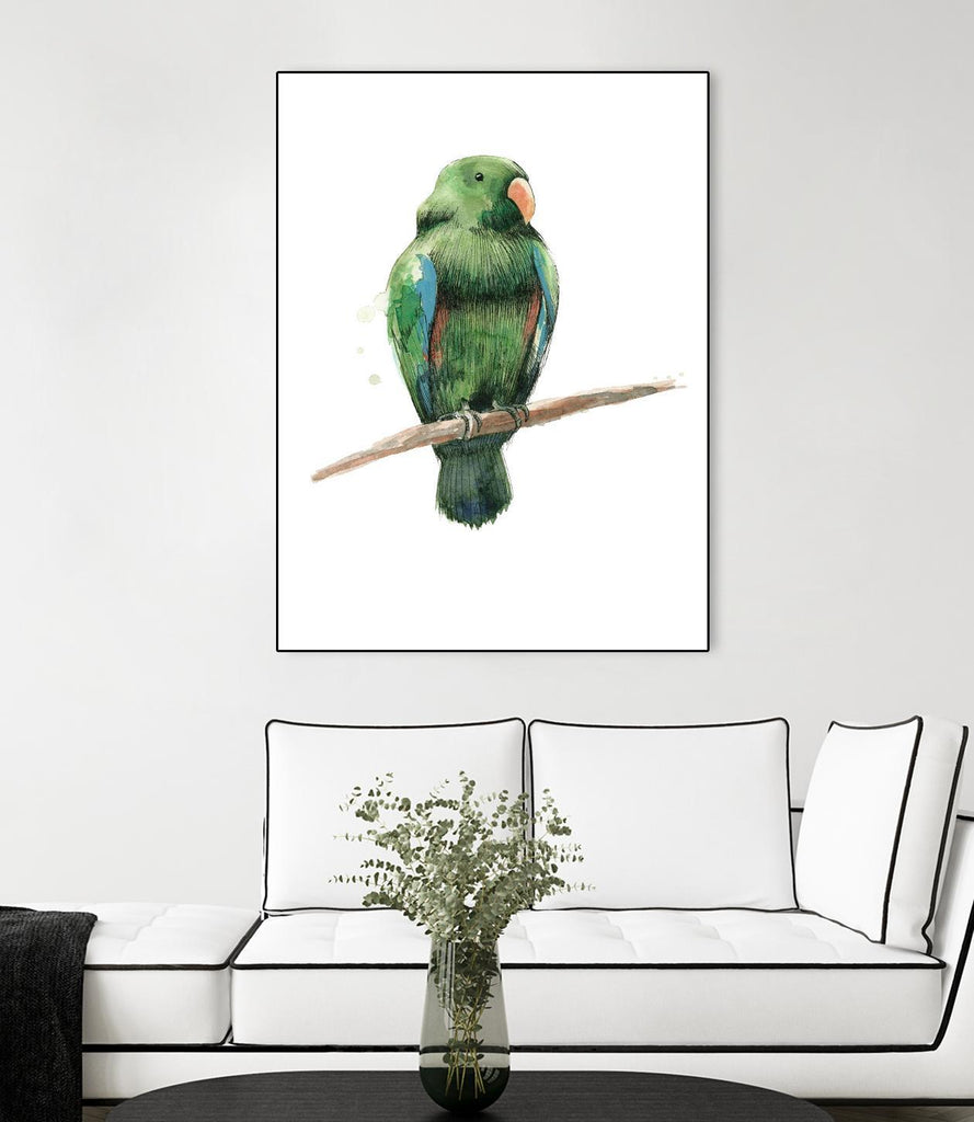 Bird 3 by Harvey, Brenna Harvey on GIANT ART - green animals bird