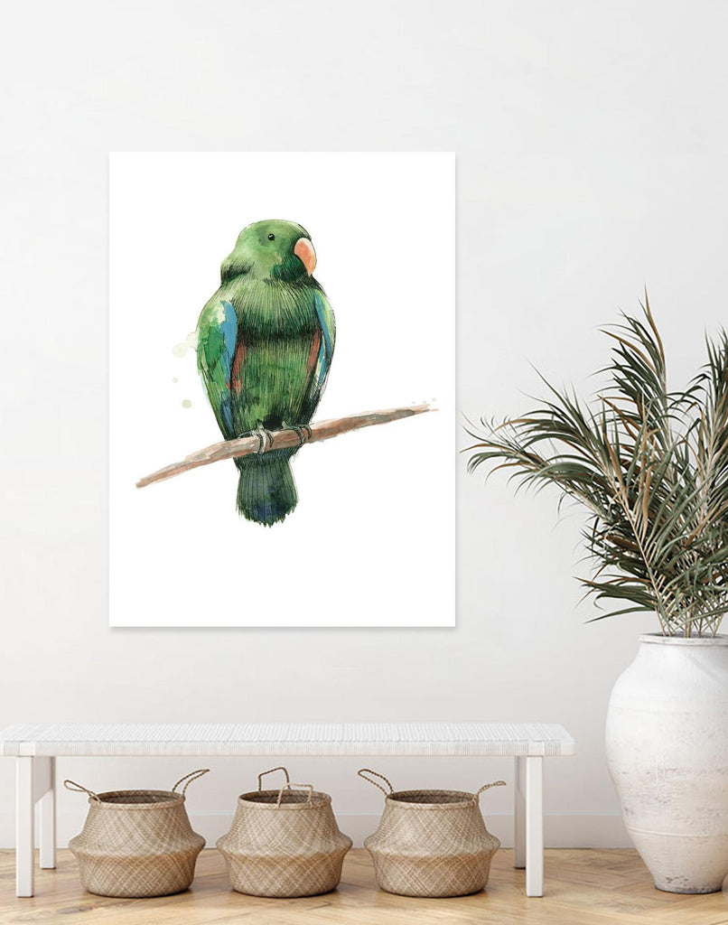 Bird 3 by Harvey, Brenna Harvey on GIANT ART - green animal bird
