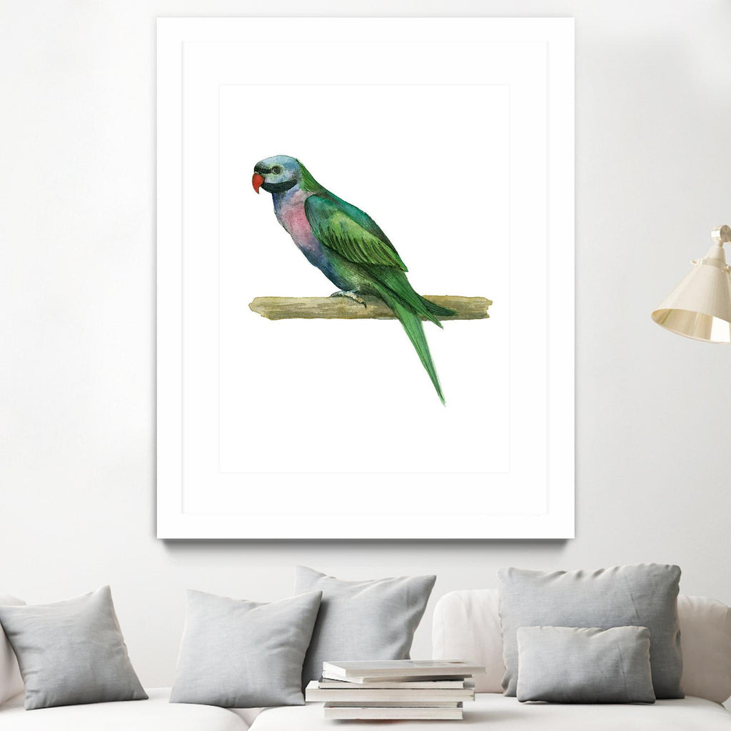 Bird 4 by Harvey, Brenna Harvey on GIANT ART - green animal bird