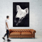 White Horse by Stefano Altamura on GIANT ART - white animals