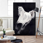White Horse by Stefano Altamura on GIANT ART - white animals