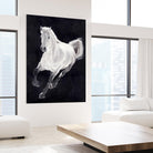 White Horse by Stefano Altamura on GIANT ART - white animals