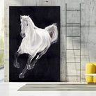 White Horse by Stefano Altamura on GIANT ART - white animals