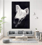 White Horse by Stefano Altamura on GIANT ART - white animals