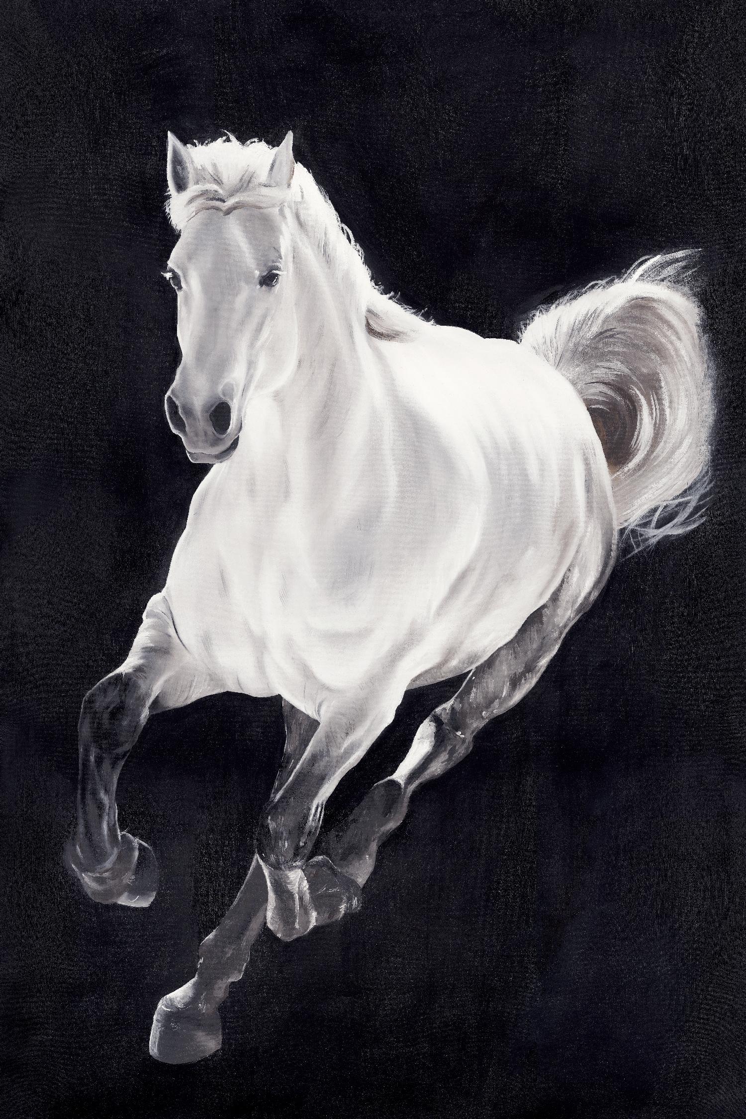 Cheval blanc par Stefano Altamura sur GIANT ART - animaux blancs