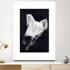 White Horse by Stefano Altamura on GIANT ART - white animals