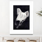 White Horse by Stefano Altamura on GIANT ART - white animals