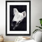 White Horse by Stefano Altamura on GIANT ART - white animals