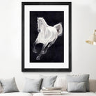 White Horse by Stefano Altamura on GIANT ART - white animals