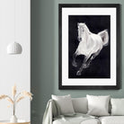 White Horse by Stefano Altamura on GIANT ART - white animals