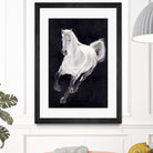 White Horse by Stefano Altamura on GIANT ART - white animals