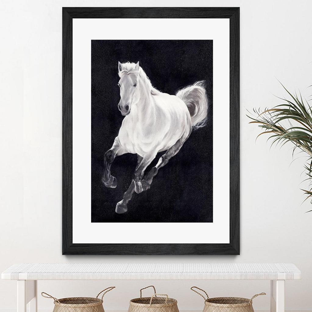 White Horse by Stefano Altamura on GIANT ART - white animals