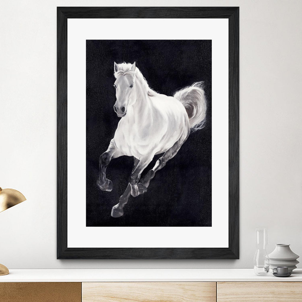 White Horse by Stefano Altamura on GIANT ART - white animals
