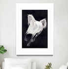 White Horse by Stefano Altamura on GIANT ART - white animals