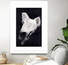 White Horse by Stefano Altamura on GIANT ART - white animals