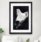 White Horse by Stefano Altamura on GIANT ART - white animals