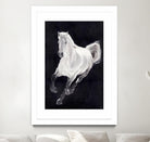 White Horse by Stefano Altamura on GIANT ART - white animals