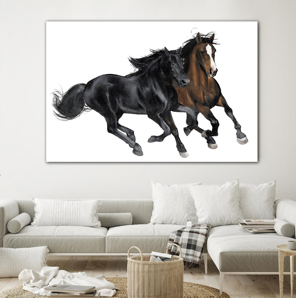Black & Brown Horse by Stefano Altamura on GIANT ART - brown animals