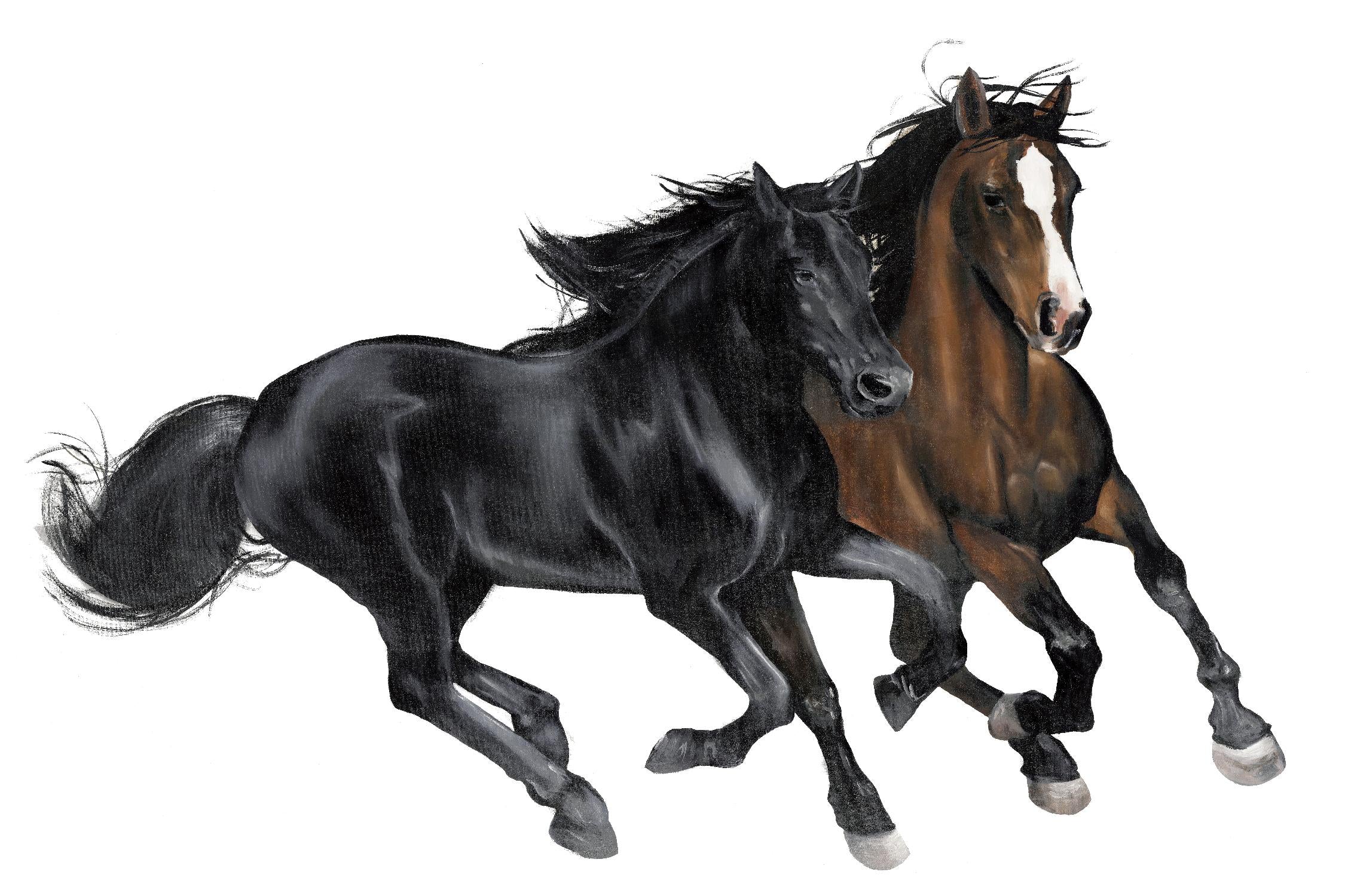 Black & Brown Horse par Stefano Altamura sur GIANT ART - animaux bruns