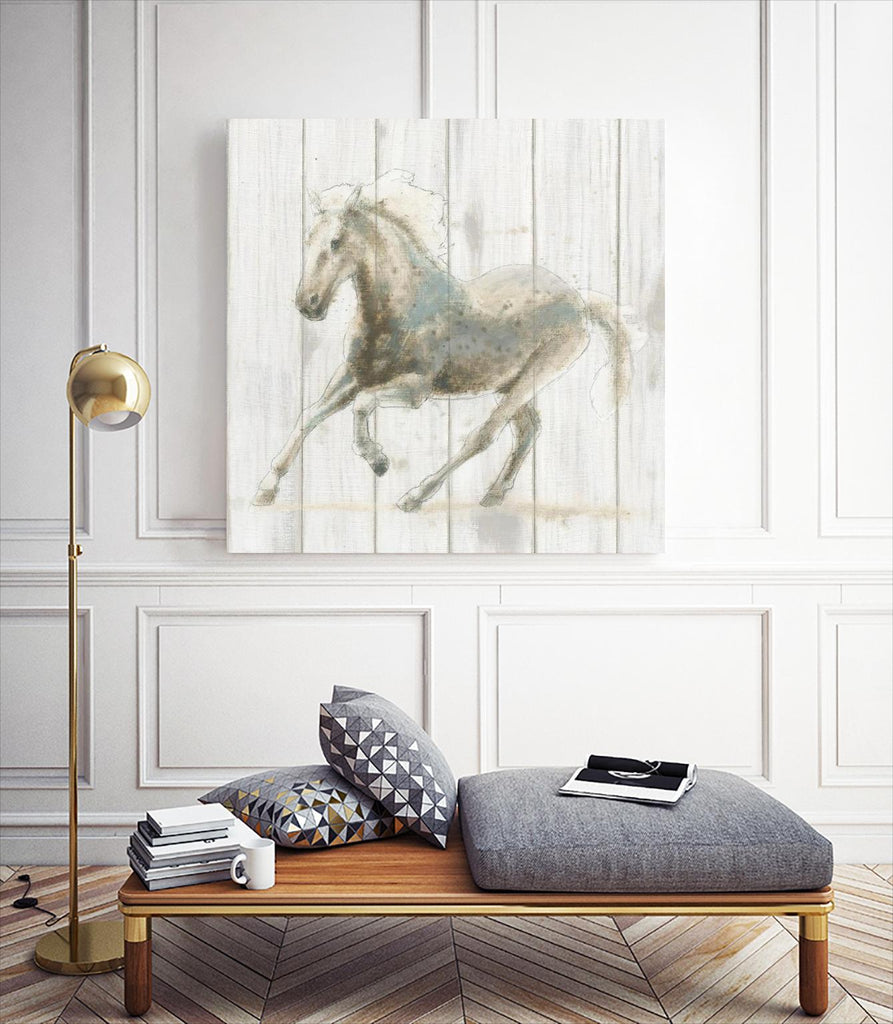 Stallion II on Birch by James Wiens on GIANT ART - white animals horse