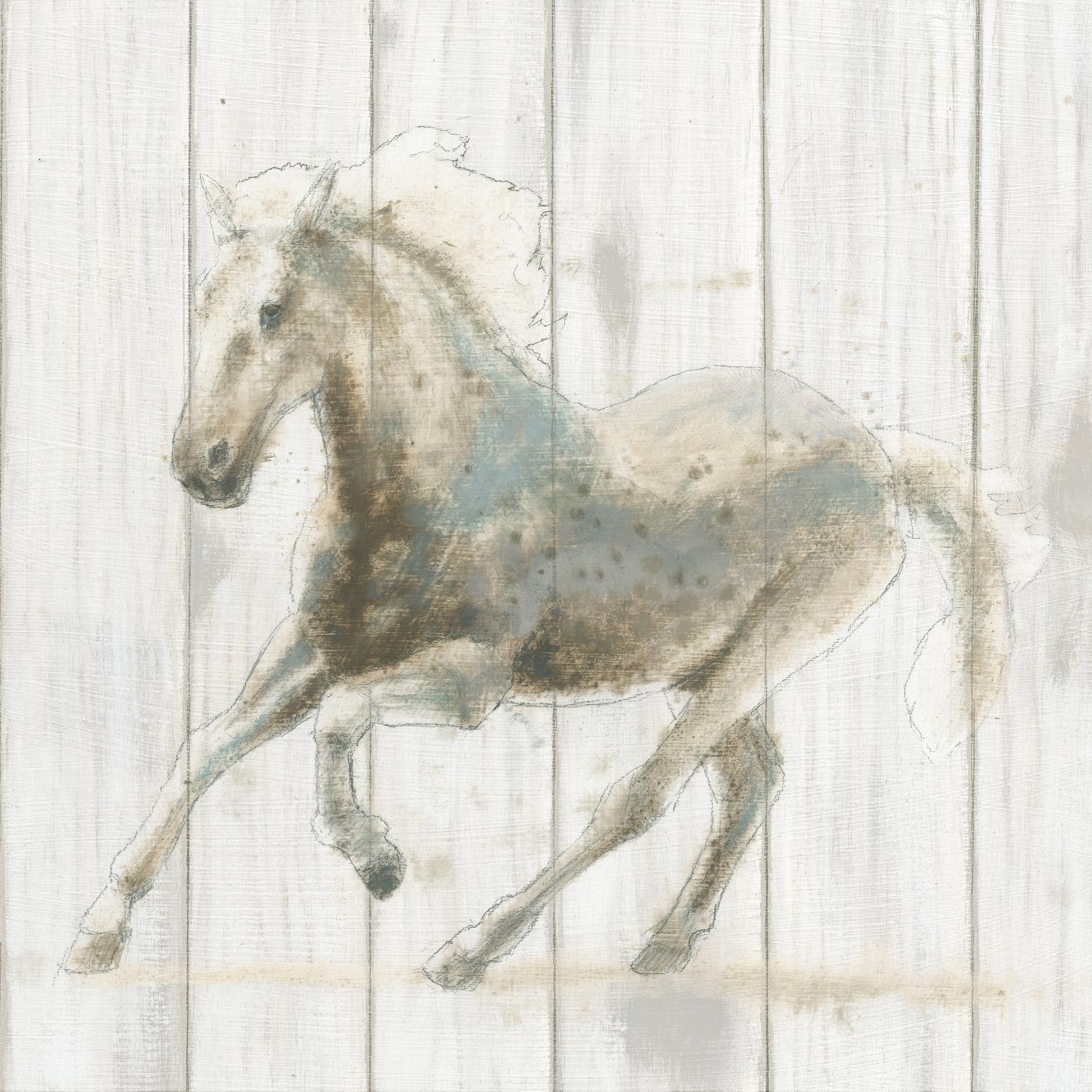 Stallion II on Birch par James Wiens sur GIANT ART - animaux gris